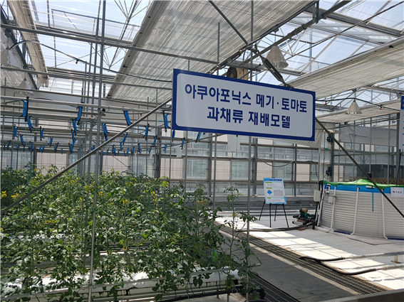 도 농업기술원 친환경 아쿠아 포닉스/자료제공-경기도청